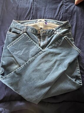 Catherines Light Blue Jegging with Petite Tag